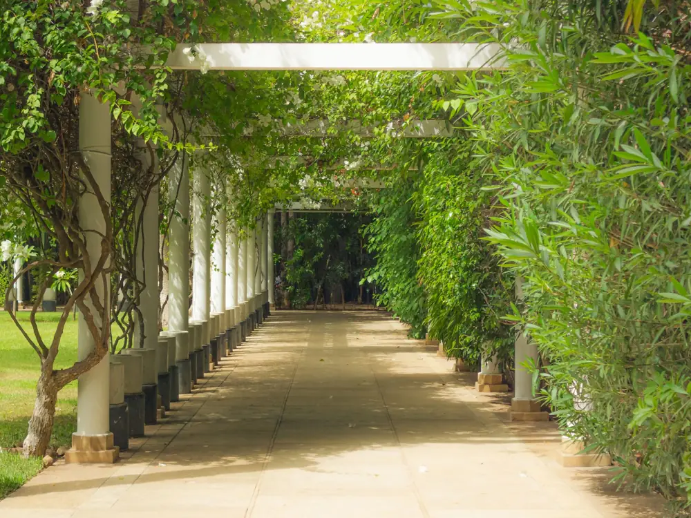 covered patio vs pergola san antonio