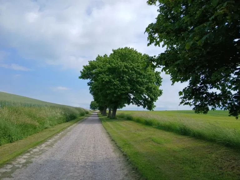 gravel driveway cost texas - Gravel Driveway Installation Cost Per Foot Rural Texas