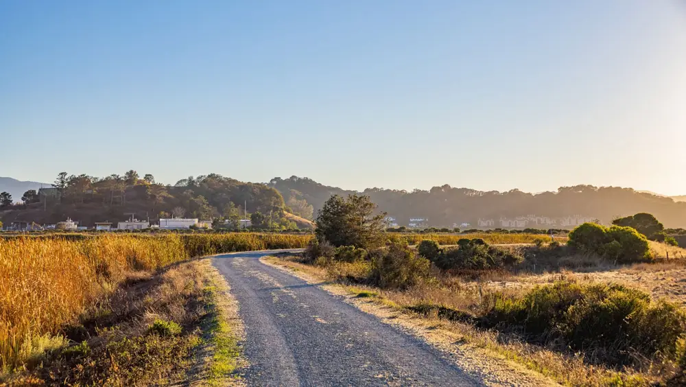 gravel driveway cost texas