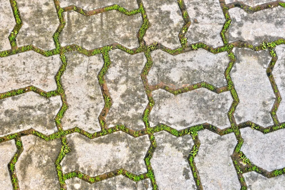 paver walkway cost chicago - Paver Walkway Installation Cost Per Square Foot Chicago Suburbs