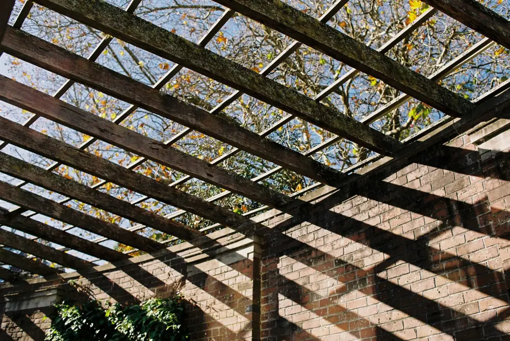 pergola material cost tampa